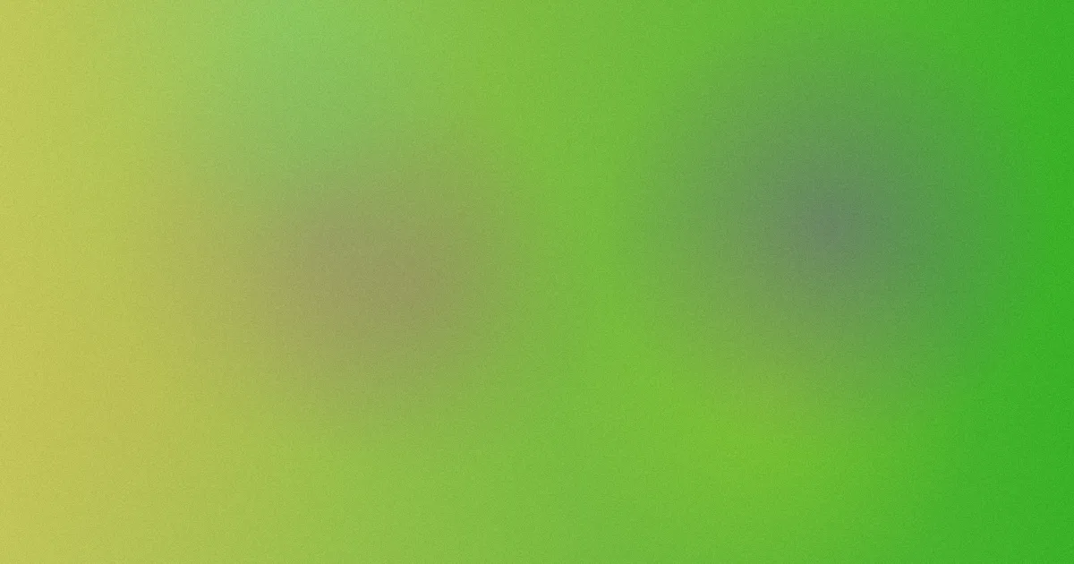 成人动漫避坑：四组概念别混淆